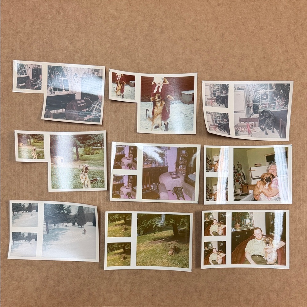 Vintage Photo Collection